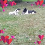 Deborah Moreira - Facebook