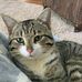 Deborah Moore - Facebook
