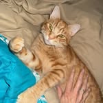Deborah Morey- Miller - @deb_miller63 - Instagram