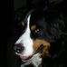 Deborah Morin - Facebook