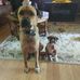 Debbie Moser - Facebook