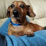 Debra Moser - @debra.moser - Instagram
