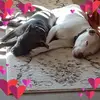 Deborah Mullins - @deborah.mullins7 - TikTok