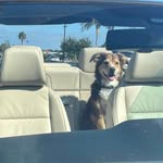 Deborah Clay Mulvey - @deborahmulvey - Instagram