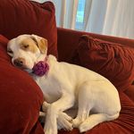 Deborah Murdock - @dgmurdock - Instagram
