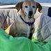 Deborah Rivere Nabors - Facebook