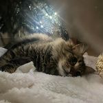 Deborah Neri - @deborah.neri.50 - Instagram