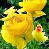 deborah28 - @deborahnovember93 - TikTok