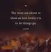 Deborah Ochs - Facebook
