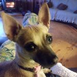 Deborah O'Connor - @oconnor7030 - Instagram