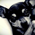 Deborah Ogden - @eltu.rner805gwq - Instagram