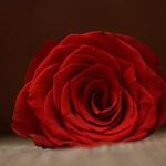 Deborah Ogden - @debs.ogden - Instagram