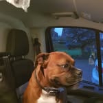 Deborahogles - @debogles123 - Instagram