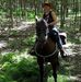 Deborah ONeill - Facebook