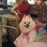 Deborah Ostrowski - @ostrowski970 - Instagram