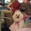 deborahostrowski1 - @deborahostrowski1 - TikTok