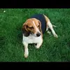 deborahotis405 - @deborahotis405 - TikTok