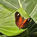 Deborah Overby - Facebook