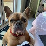 Deborah Overton - @_deborah.overton - Instagram