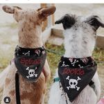 Deborah Overton - @kayak4 - Instagram