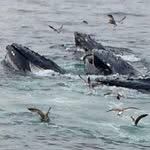 Deborah Parsons - @deborah.parsons.568 - Instagram