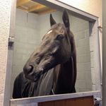 Deborah Parsons - @deborahparsons565 - Instagram