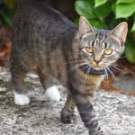 Deborah Parsons - @deborahs_photos - Instagram