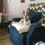 Deborah Patton - Facebook