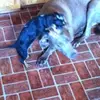 deborahpayton42 - @deborahpayton42 - TikTok