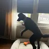 deborahpeek8 - @deborahpeek8 - TikTok