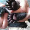 Deborah Pettit - @deborah.pettit6 - TikTok