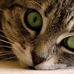 Deborah Philips Travel - Facebook