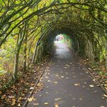 Deborah Pilgrim-Langton - @deborahloupl - Instagram