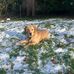 Debbie Piotrowski - Facebook