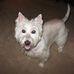 Deborah Plummer - Facebook