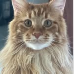 Deborah Posner (Winston) - @sirwinstonv3 - Instagram