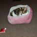 Deborah Potter - Facebook