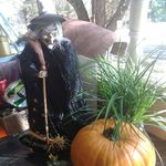 Deborah Potter - @deborah.potter.7758 - Instagram