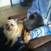 Debra Potter - Facebook