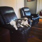 Deborah Powell - @dakpowell - Instagram