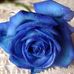 Deborah:- Pretty Flowers - Facebook