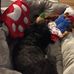 Deborah Proctor - Facebook