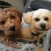Debbie Quick - Facebook
