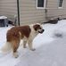 Debbie Quimby - Facebook
