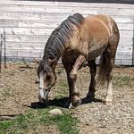 Deborah Quimby - @quimby6354 - Instagram