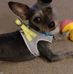 Debbie Rawlinson - Facebook