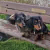 Deborah Reeves - @deborah.reeves92 - TikTok