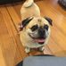 Deborah Reich - Facebook