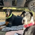 Debra Renner Meyer - @dmmeyer80 - Instagram