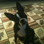 Deborah Riddle - @grama_d001 - Instagram